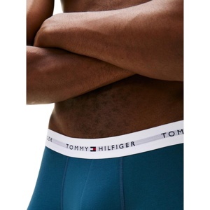 Tommy Hilfiger 3-Pack Essential Signature Logo Boxer Briefs